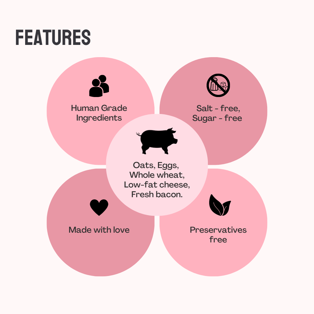 Floof & Co Classic Bacon Cheese Dog Treats (Buy 1 Get 1) Dog Treats + Others Floof & Co
