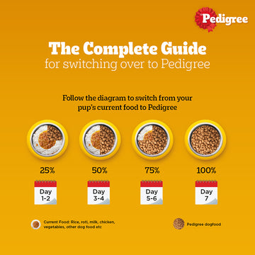 Pedigree Chicken and Vegetables Adult Dog Dry Food