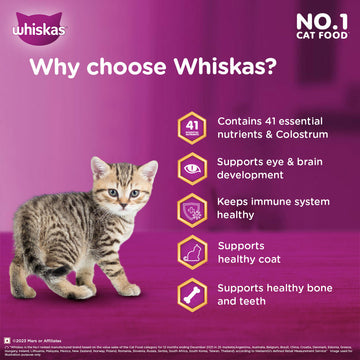 Whiskas Ocean Fish Kitten/Mother and Baby Cat Dry Food