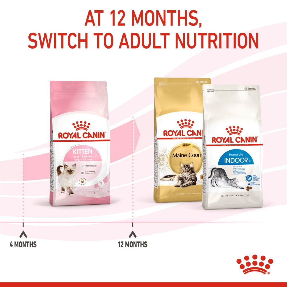 Royal Canin Kitten Cat Dry and Wet Food Combo