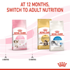 Royal Canin Kitten Cat Dry and Wet Food Combo