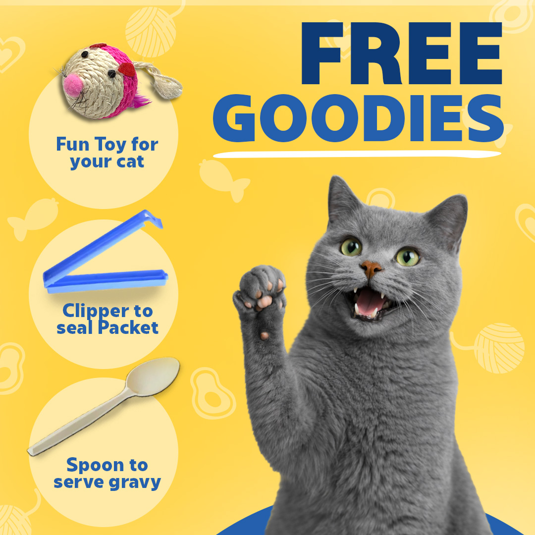 Smylo Kitten Trial Box, Tuna & Chicken, Fresh & No-Preservative Wet Cat Food Cats-Wet Food Smylo