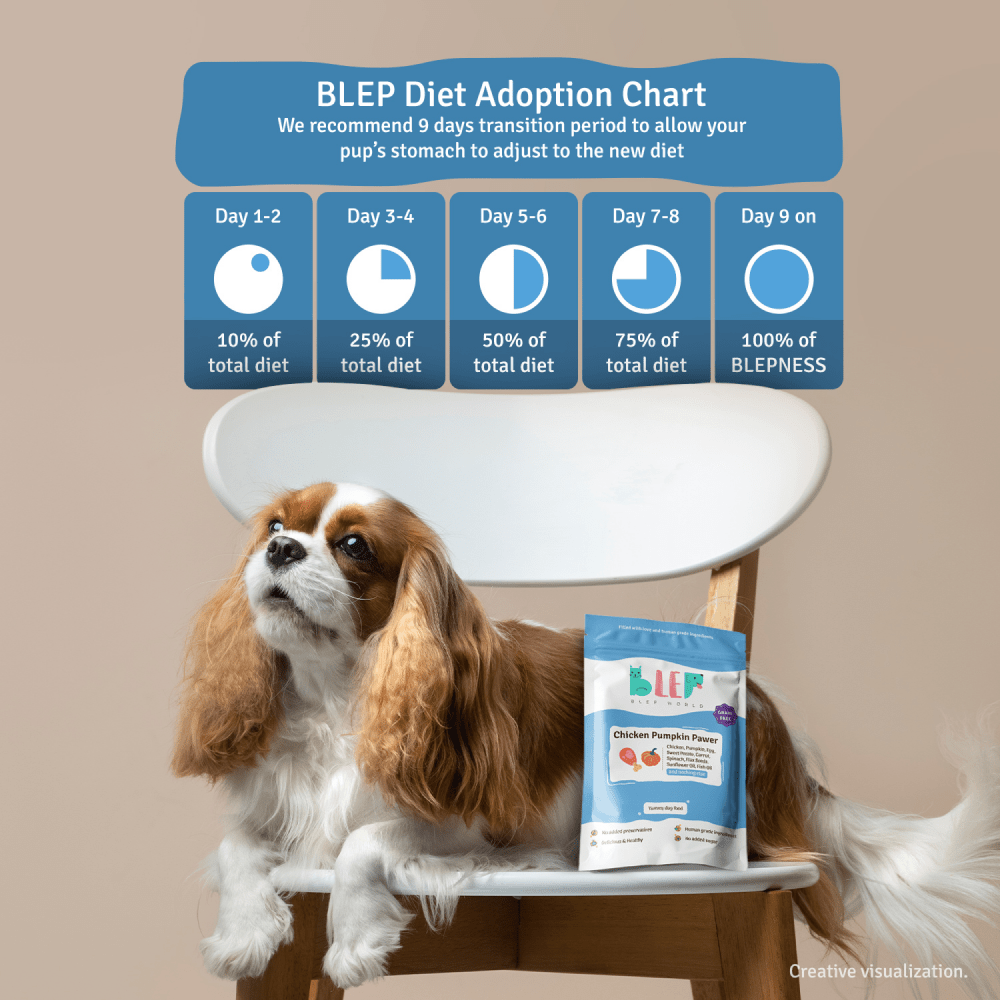 BLEP Pawer 5 Flavour Variety Pack Dog Wet Food