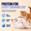 Kitty Yum Ocean Fish Mousse Kitten Cat Wet Food Cats-Wet Food Kitty Yums