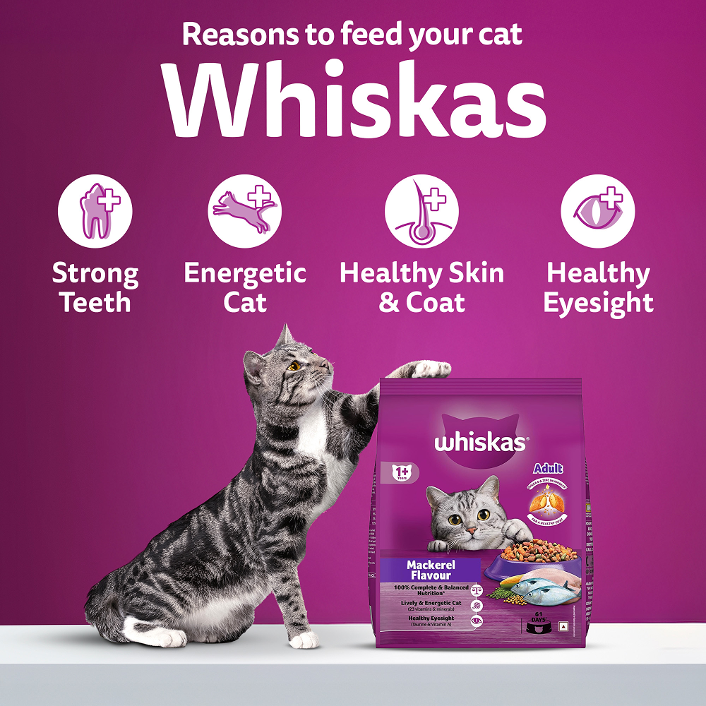 Whiskas Mackerel Flavour Adult Cat Dry Food Cats- Dry food Whiskas