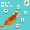 Smylo Tuna, Salmon & Pumpkin and Smylo Mackerel, Kanikama and Cranberry Adult Cat Wet Food Combo Cats-Wet Food Smylo