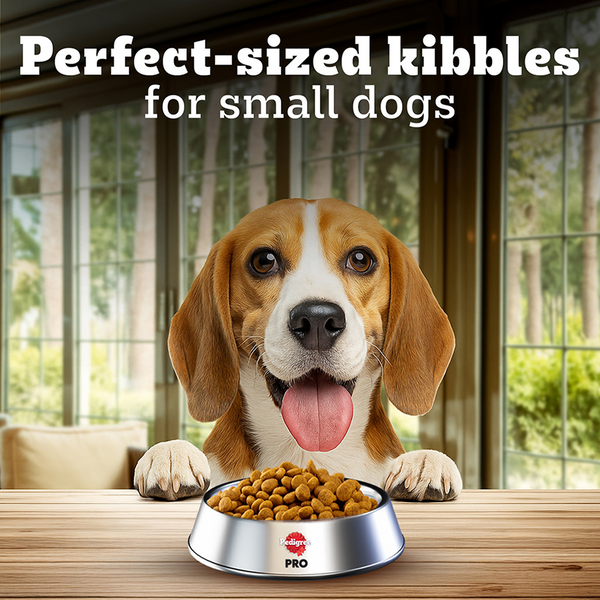 Pedigree PRO Expert Nutrition Adult Dog Dry Food for Small Breed