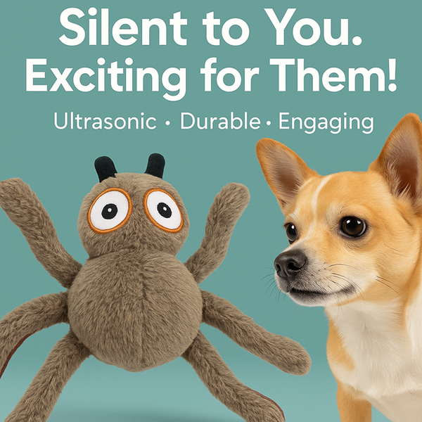 Talking Dog Club Itsy Bitsy Spider Plush Toy for Dogs (Brown)