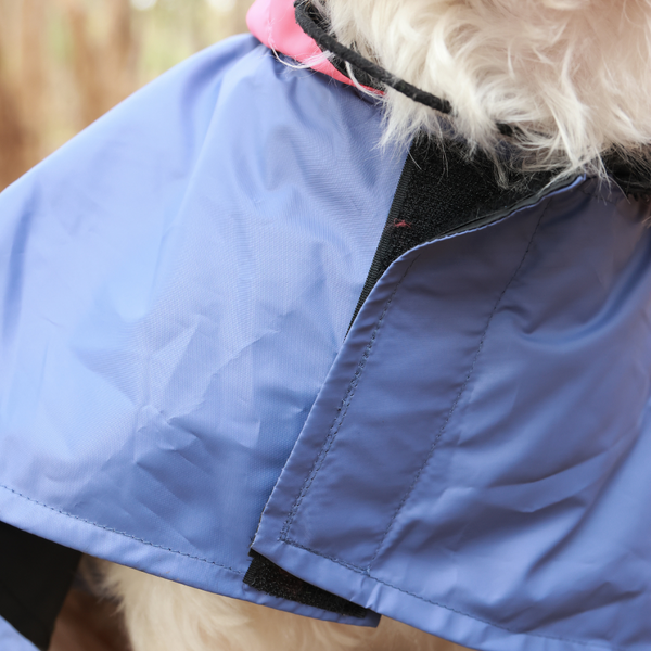 Pet Set Go Dual Colour Cape Style Raincoat for Dogs (Purple)