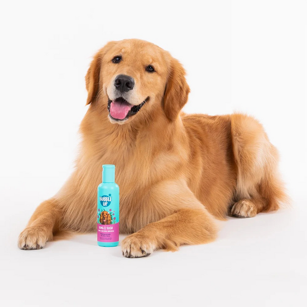 Bubble Up Pomegranate & Aloe Vera 2 In 1 Shampoo with Conditioner for Dogs