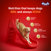 Drools Turkey and Pumpkin Adult Dog Dry Food Dogs- Dry Food Drools