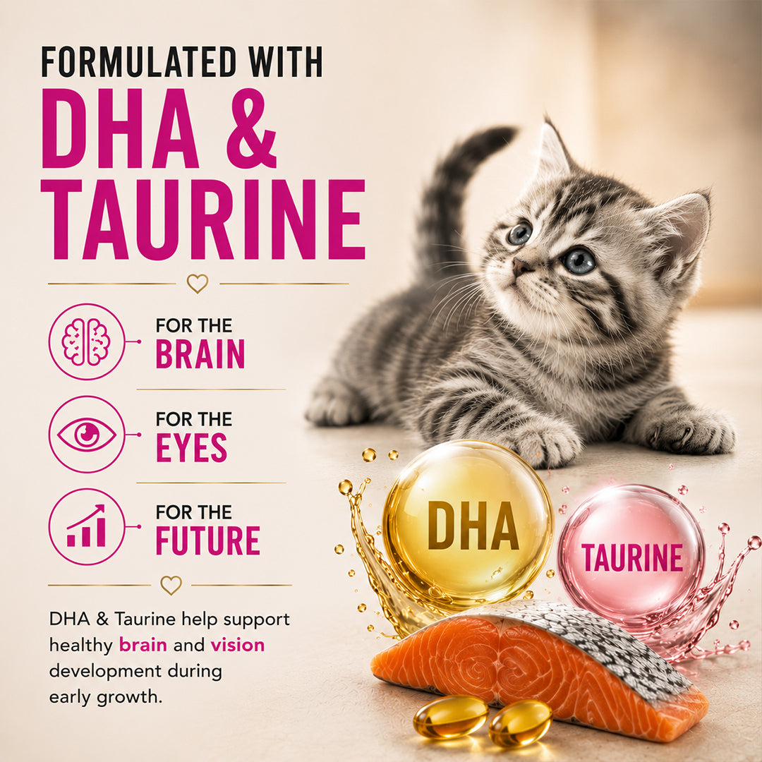 Signature Grain Zero Ocean Fish, Sardine and Mackerel Mother and Kitten Cat Dry Food Cats- Dry food Signature