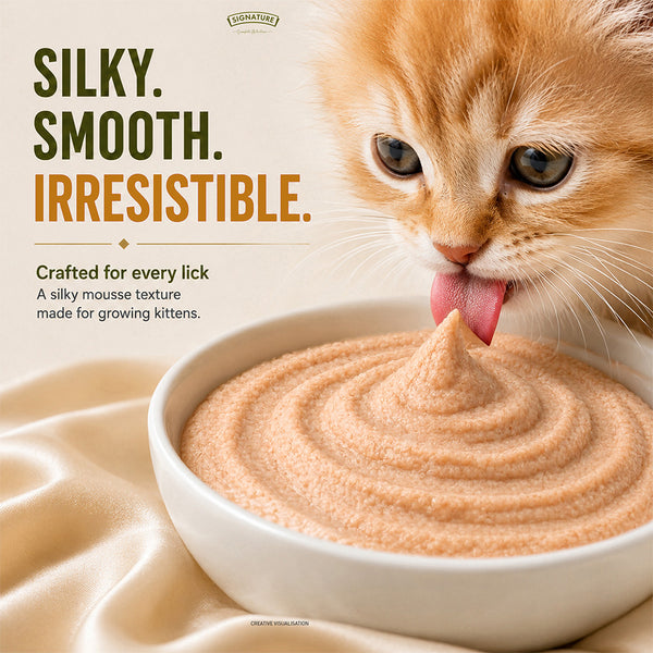 Signature Grain Zero Chicken Mousse Kitten Cat Wet Food