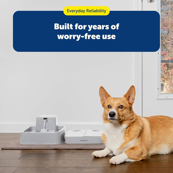 PetSafe 2 Meal Automatic Pet Feeder for Dogs and Cats