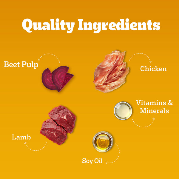 Pedigree Roasted Lamb Flavour Chunks in Gravy Adult Dog Wet Food
