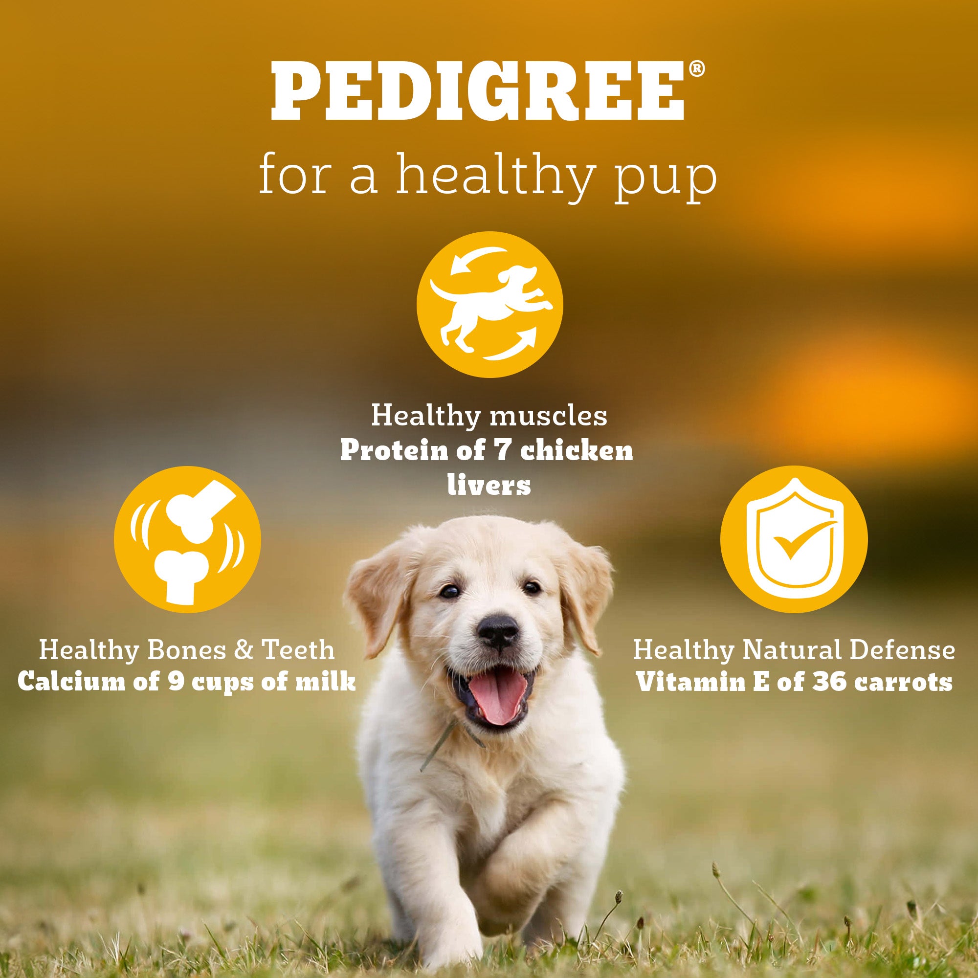 Pedigree Chicken and Milk Puppy Dog Dry Food