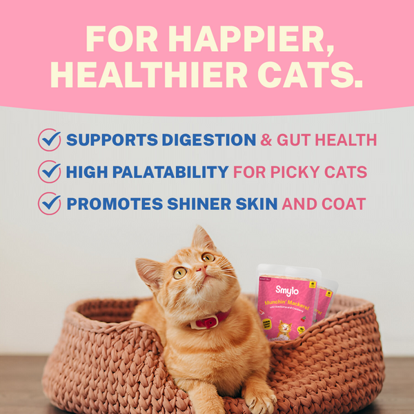 Smylo Kitten Mackerel Kanikama & Cranberry, Fresh & No-Preservative Wet Cat Food