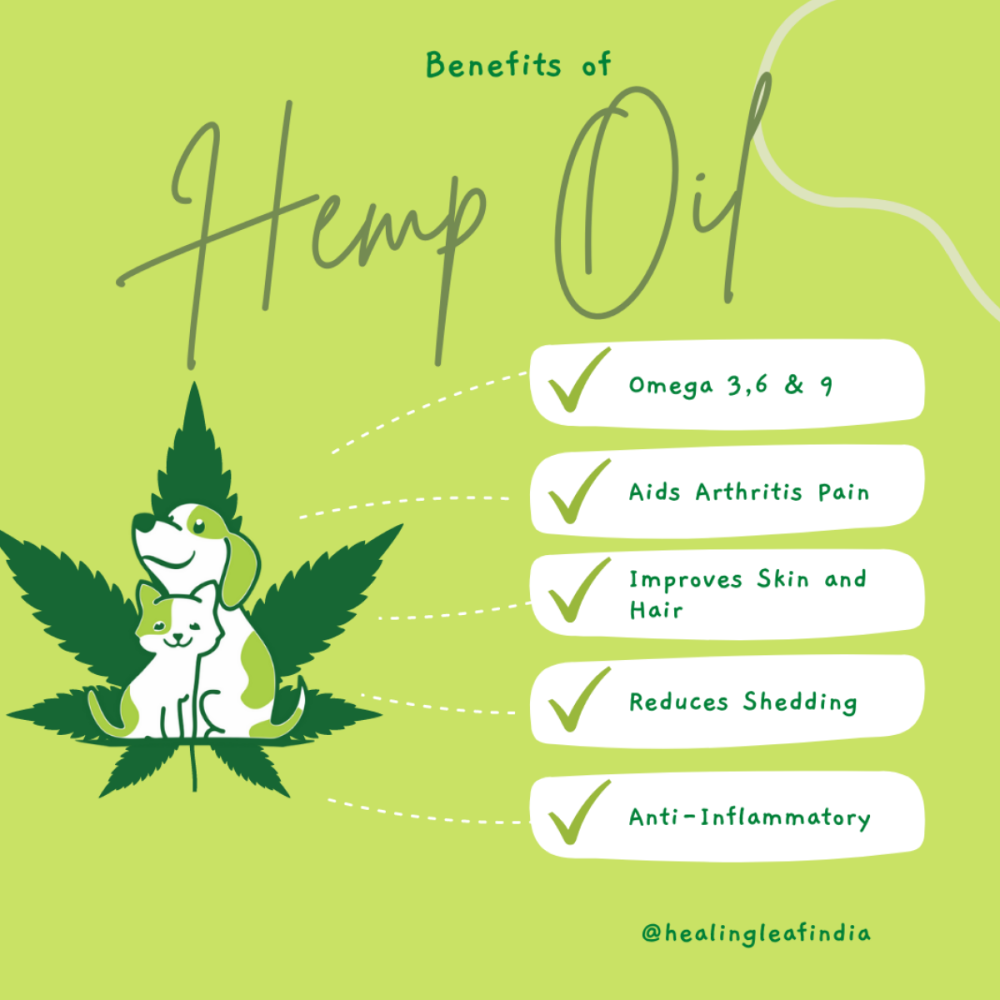 Healing Leaf Hemp Oil for Dogs and Cats (Limited Shelf Life) Both-Health & Wellness Healing Leaf