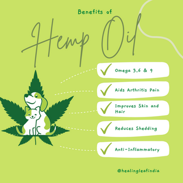 Healing Leaf Hemp Oil for Dogs and Cats