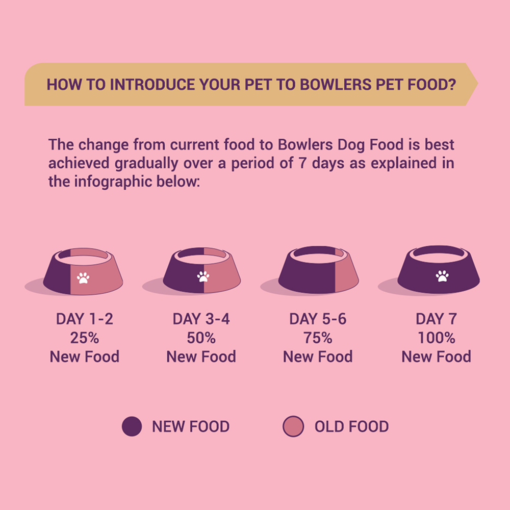 Bowlers Chicken and Milk Nutrimax Puppy Dog Dry Food Dogs- Dry Food Bowlers