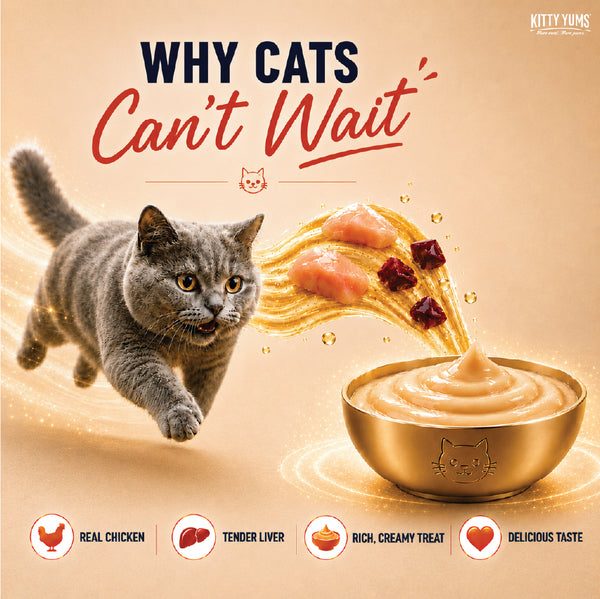 Kitty Yums Real Chicken Creamy Cat Treats