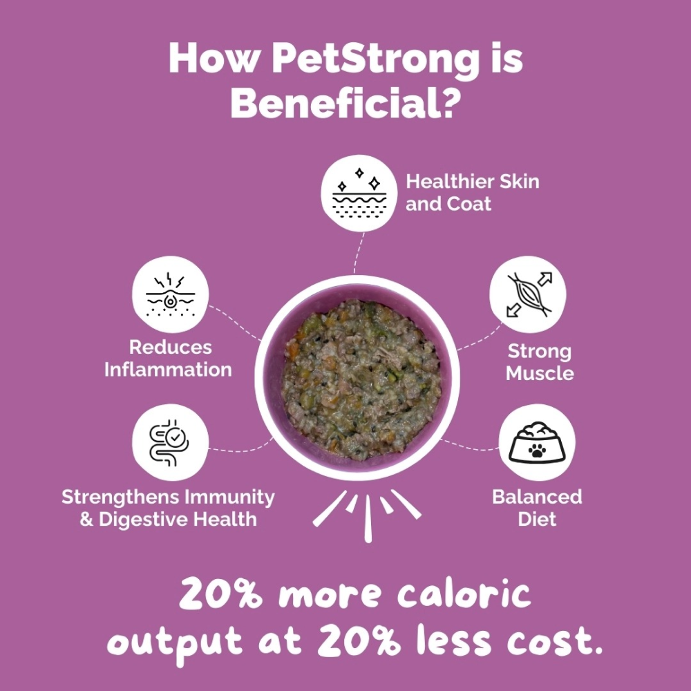 PetStrong Chicken and Rice Fresh Food and 2.2 Meal Protein Booster for Dogs Combo Dogs-Wet Food PetStrong