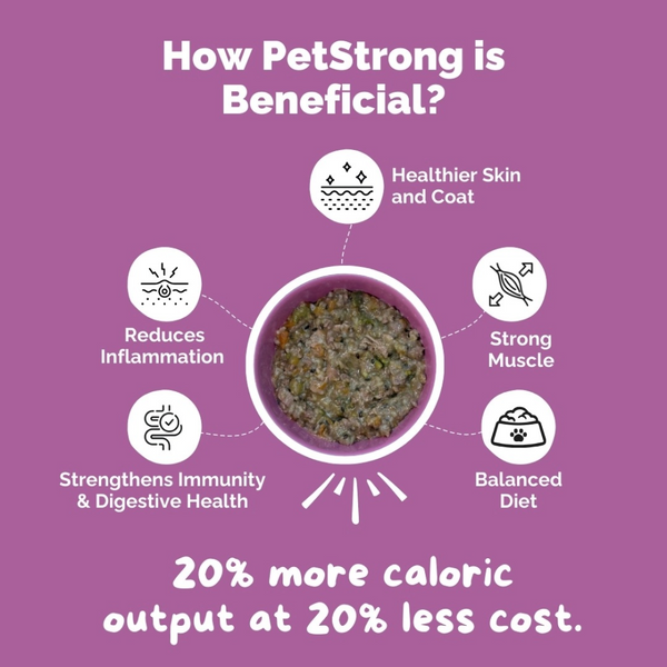 PetStrong Fresh Food Variety Pack Combo for Dogs