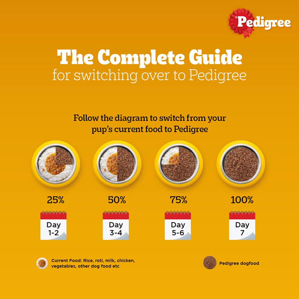 Pedigree Chicken and Liver Chunks in Gravy Adult Dog Wet Food (130g) Dogs-Wet Food Pedigree