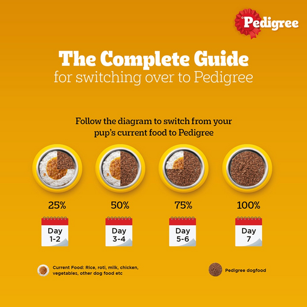Pedigree PRO Active Adult Large Breed Dry Food, Pedigree Chicken Liver Gravy Adult Dog Wet Food Combo