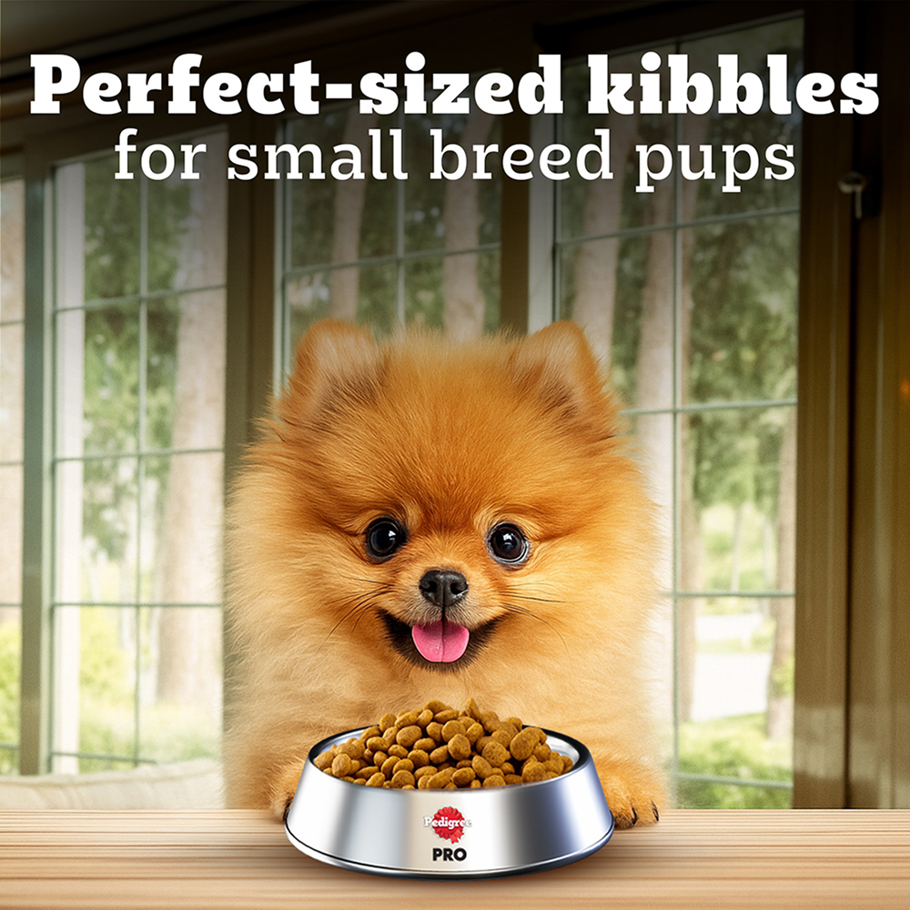 Pedigree PRO Expert Nutrition Small Breed Puppy (2 to 9 Months) Dry Food Dogs- Dry Food Pedigree PRO