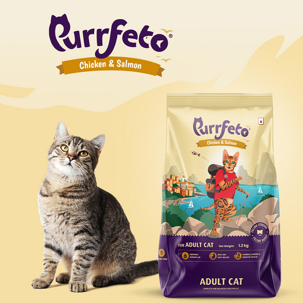 Purrfeto Chicken & Salmon Dry and Mackerel in Gravy Adult Cat Wet Food Combo
