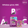 Whiskas Tasty Mix Chicken Tuna with Sweet Potato Kitten Cat Wet Food Cats-Wet Food Whiskas
