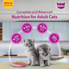 Whiskas Chicken in Gravy Meal Kitten Wet Food Cats-Wet Food Whiskas