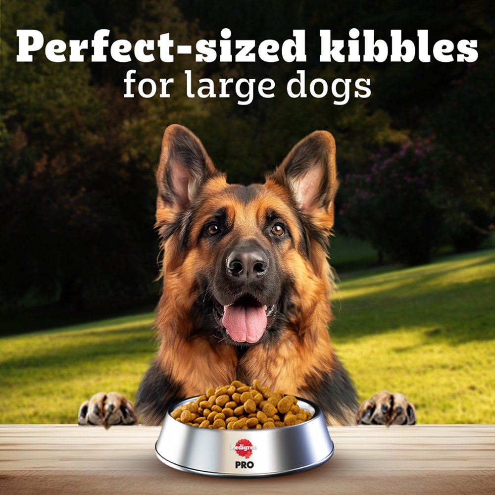 Pedigree PRO Expert Nutrition Active Adult (18 Months Onwards) Large Breed Dog Dry Food Dogs- Dry Food Pedigree PRO
