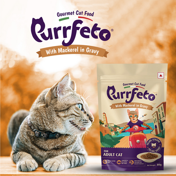 Purrfeto Chicken & Salmon Dry and Mackerel in Gravy Adult Cat Wet Food Combo