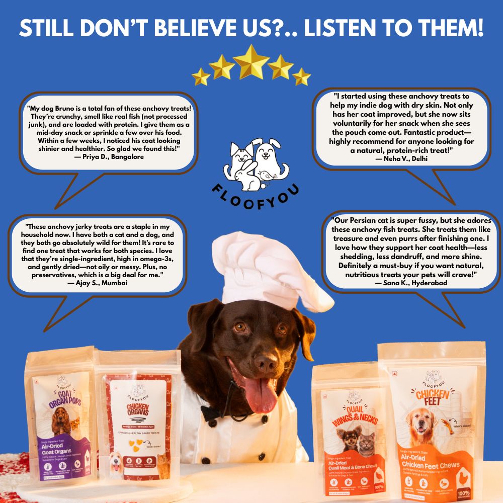 FloofYou Air Dried Whole Anchovy and Sardines Fish Dog and Cat Treats Combo Dog Treats + Others FloofYou