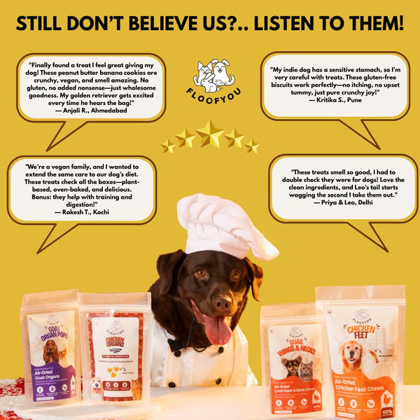 FloofYou Oven Baked Peanut Butter Banana Dog Treats