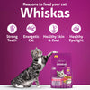 Whiskas Catla Fish Flavour Adult Cat Dry Food Cats- Dry food Whiskas