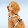 Warner Bros Batman Harness for Dogs and Cats Both-Collar, Leashes, harnesses Warner Bros