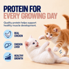 Kitty Yum Salmon Mousse Kitten Cat Wet Food Cats-Wet Food Kitty Yums
