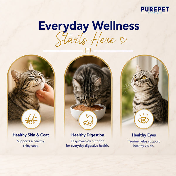 Purepet Real Tuna & Chicken Liver in Gravy Cat Wet Food