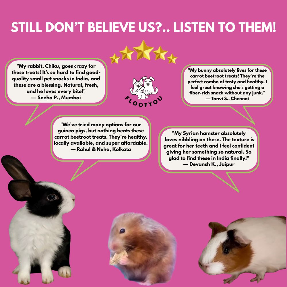 FloofYou Oven Baked Carrot Beetroot Rabbit Treats Rabbits FloofYou