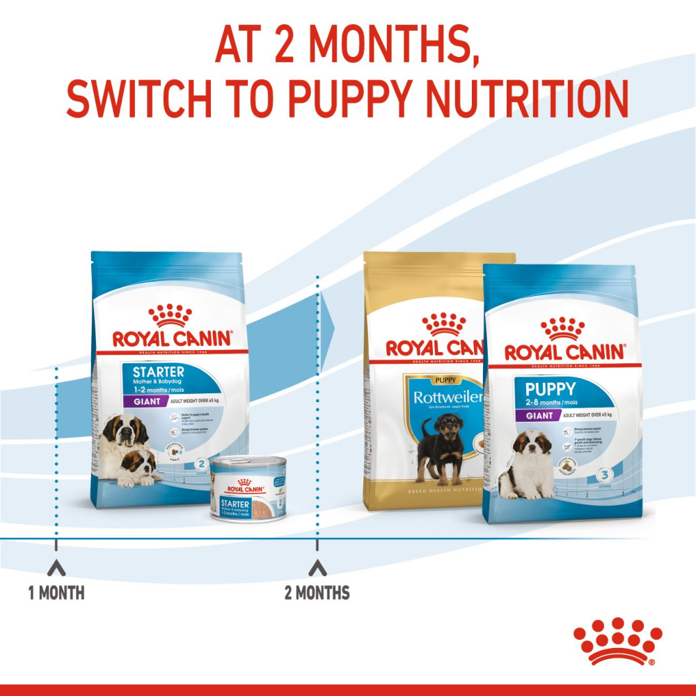 Royal Canin Giant Breed Dog and Puppies Starter Dog Dry Food