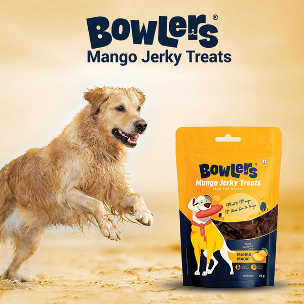 Bowlers Mango Jerky Dog Treats