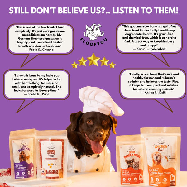 FloofYou Air Dried Goat Trotter Bone Chew Dog Treats