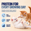 Kitty Yum Chicken Mousse Kitten Cat Wet Food Cats-Wet Food Kitty Yums