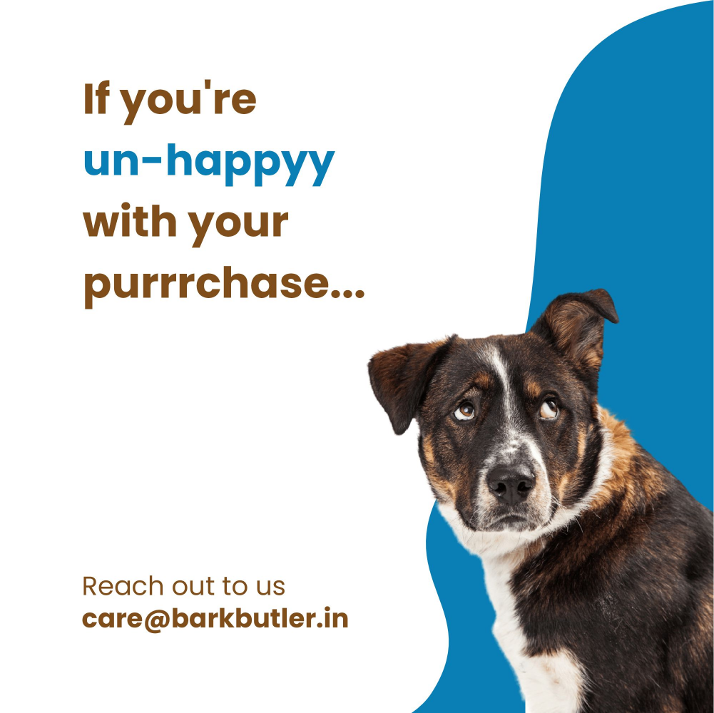 Dogfest Lamb Meat Sticks Dog Treats Dog Treats + Others Petfest