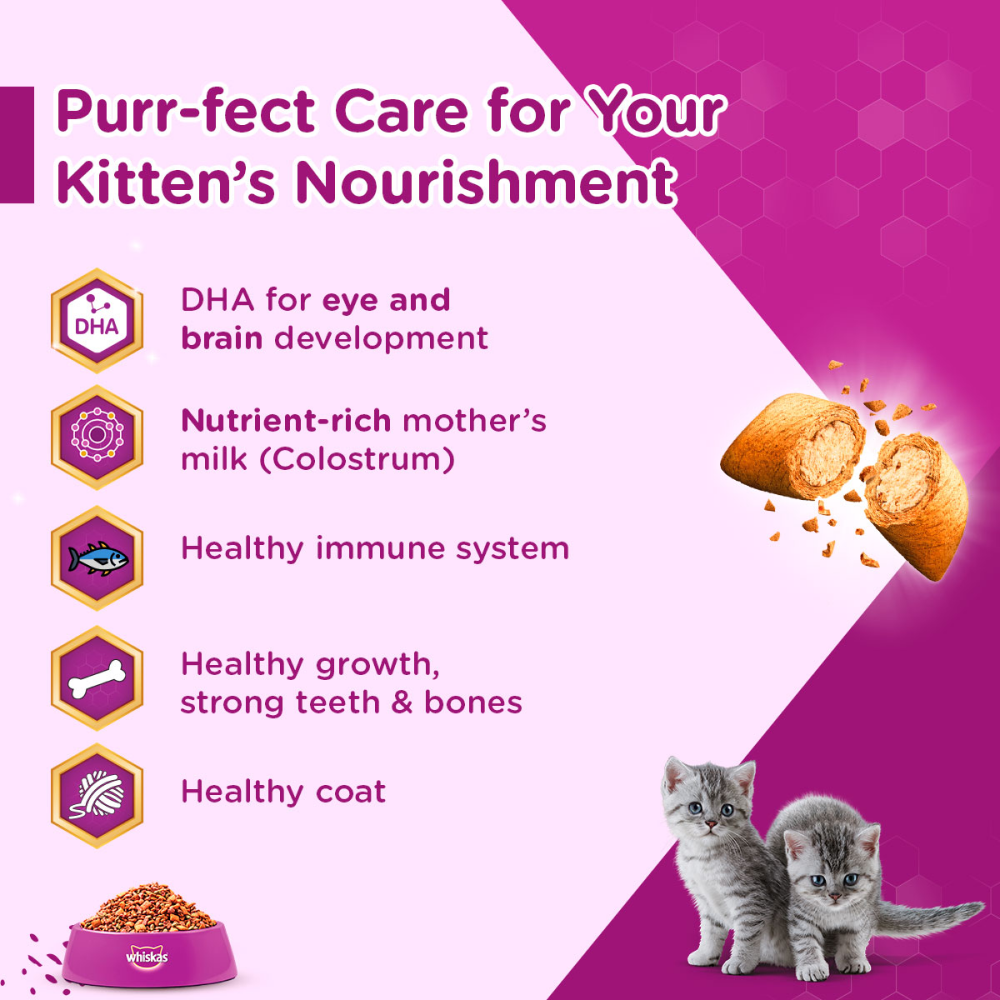 Whiskas Ocean Fish and Tuna in Jelly Kitten Dry and Wet Food Combo