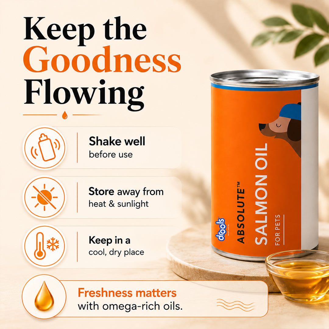 Drools Absolute Salmon Oil Syrup Supplement for Dogs Dogs-Health & Wellness Drools