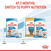 Royal Canin Medium Starter Dry Food for Medium Breed Dog and Puppies Dogs- Dry Food Royal Canin